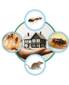 Hemen İletişime Geçin